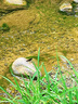 亿色适用苹果16e/14/13钢化膜iPhone13/13pro/14/16e手机膜高清防指纹贴膜全屏覆盖保护膜 实拍图