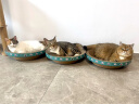 疯狂的主人猫抓板窝碗形大号猫抓盆不掉屑猫窝宠物猫玩具瓦楞纸猫爪板 实拍图