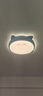 雷士（NVC）LED照明吸顶灯儿童氛围卧室灯创意可爱卡通简约-龙猫蓝色包安装 实拍图