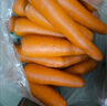 【绿色食品】新鲜水洗胡萝卜低脂蔬菜减肥必备 凉拌炖炒 3斤含箱 实拍图