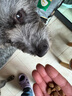 冠能狗粮体重控制绝育犬成犬狗粮全价7kg 高蛋白低脂肪健康减轻体重 实拍图