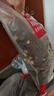 麦富迪狗粮 超肉粒冻干双拼粮10kg 幼犬中大型小型犬通用鸡肉磷虾蛋黄 实拍图