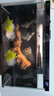 米家小米智能鱼缸半年免换水定时喂食+画法几何沉木造景套装 实拍图