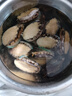 首鲜道包活 福建连江鲜活鲍鱼活鲜 生鲜 贝类超大2斤 海鲜其他水产鲜嫩 精品活鲍32-36只 2斤(保活净重) 实拍图