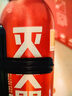 火焰战士车载灭火器汽车家用国标干粉灭火器国家消防3C新能源便携消防器材 实拍图