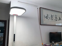 童视界红光护眼大路灯【国家补贴】立式全光谱儿童学习落地阅读台灯 实拍图