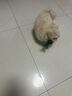 徽千方乳酸钠林格注射液100ml宠物狗狗犬猫咪兽用皮下补液脱水体液缺失 1瓶【100ml/瓶】 实拍图