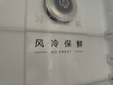 美的（Midea）195两门二门双开门低噪租房小型家用电冰箱风冷无霜小冰箱MR-195WE不串味以旧换新【国家补贴】 实拍图
