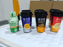 蘭芳園 LAN FONG YUEN 香港兰芳园正宗港式牛乳奶茶280ml*6杯装 实拍图