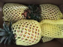金钻凤梨17号海南新鲜水果无眼菠萝热带水果当季 净重9斤中果 单果650g起 约6-8个 实拍图
