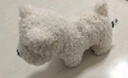 babycare&bctoys儿童毛绒玩具狗电子哈基米宠物玩偶节日生日礼物西高地犬 实拍图