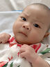 babylove婴儿连体衣夏季竹棉山茶纱布和尚服新生儿宝宝衣服薄款透气哈衣 实拍图