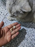 USPET英国宠物乳钙片猫咪犬狗狗关节幼老年怀孕发育宝助成长骨骼2瓶装 实拍图