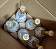 汾酒 黄盖玻汾 清香型高度白酒 53度 475mL*12瓶 整箱装 实拍图
