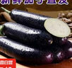 山东新鲜绿把紫皮长茄现摘现发新鲜嫩茄新鲜时令蔬菜生鲜 新鲜绿把紫茄 2斤 带箱 实拍图