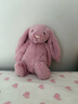 Jellycat害羞粉色郁金香邦尼兔毛绒玩具公仔睡觉抱枕潮玩送礼娃娃生日礼物 害羞粉色郁金香邦尼兔 Medium 实拍图