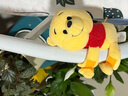 德亚（Weidendorf）【德国/澳大利亚】进口全脂高钙纯牛奶1L*6学生营养早餐随机发货 实拍图
