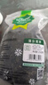 贡苑 长白山蒲公英茶250g 蒲公英根叶婆婆丁野养生护泡水肝花草茶叶 实拍图