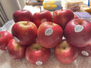 莳荟果蔬【顺丰现发】新西兰红玫瑰苹果当季泰勒甜脆苹果进口水果送礼盒 进口红玫瑰大果8个简装(单果170-200g) 实拍图