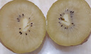 佳沛（zespri）新西兰  阳光金奇异果18粒超大果原箱单果重约173-204g 猕猴桃 实拍图