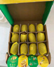 佳沛（zespri）新西兰 阳光金奇异果12粒礼盒特大果单果约122-146g 猕猴桃 水果 实拍图
