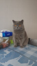 伟嘉成猫猫粮3.6kg海洋鱼味布偶英短猫咪夹心粮全价粮【原料透明】 实拍图