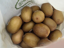 佳沛（zespri）新西兰  阳光金奇异果25-27粒原箱特大果单果约122-146g  猕猴桃 实拍图