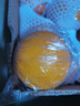 【顺丰】新鲜脐橙  湖北秭归九月红脐橙甜橙子新鲜当季水果 8斤精品礼盒 实拍图