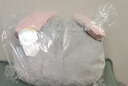 名创优品（MINISO）迪士尼疯狂动物城系列朱迪春日抱枕玩具毛绒公仔办公室客厅靠枕 实拍图