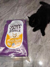 星益生趣（STELLA&CHEWY'S）美国原装进口SC无谷RC冻干涂层全猫粮鸡肉 10lb/4.54kg 效期25.10 实拍图