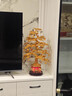 子木雅居发财树摆件金色摇钱树招财镇宅风水转运客厅办公室店铺开业送礼物 金玉满堂发财树【高58cm】 实拍图