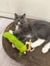 HELLOJOY猫咪指甲剪专用小盲剪狗狗指甲钳小猫指甲钳圆孔新手防抓防咬 实拍图