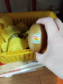 佳沛（zespri）新西兰 阳光金奇异果12粒礼盒特大果单果约122-146g 猕猴桃 水果 实拍图