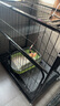 京喜自营-专用品牌猫笼子超大室内猫别墅多层猫舍送货上门 方管款-黑色双层85*60.5*95 套餐一：三件套 实拍图