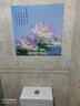 Dincmei顶创美荷花图自粘贴画厕所洗手卫生间莲花鲤鱼荷花净秽图墙贴纸壁画防水 05.荷花净秽 宽30cm-高30cm 实拍图