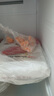 思念儿童水饺 虾仁玉米水饺300g42只 果蔬和面海鲜小水饺儿童 实拍图