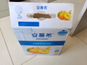 安慕希伊利真果粒黄桃燕麦风味酸奶整箱常温牛奶乳品营养早餐送礼礼盒 黄桃燕麦200gx10盒x2箱 实拍图