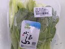 小汤山 北京 油菜 250g 基地直供新鲜蔬菜 实拍图