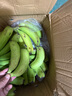吉果叔 云南高山甜香蕉 新鲜水果当季现摘大芭蕉小米蕉甜香蕉整箱自然熟 9斤净重 8.5斤 实拍图