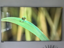 TCL电视 98Q10L 98英寸 极景QD-Mini LED 蝶翼华曜屏 万象分区 绚彩XDR 5000nits 98/100英寸电视 实拍图