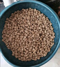 伯纳天纯毛球管理低敏猫粮成猫主粮营养加菲猫蓝猫通用系列 囤货装 成猫猫粮10kg 实拍图