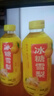 【夏季解渴】冰糖雪梨饮品梨汁饮料烧烤火锅果汁360ml大瓶整箱 360ml*2瓶【尝鲜】 实拍图