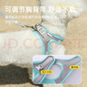 华元宠具（hoopet）宠物胸背带背心式遛狗狗牵引绳子项圈P链子猫咪中小型犬外出用品 实拍图