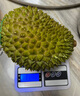 市舶士马来西亚猫山王榴莲D197整果树熟液氮冷冻榴莲进口水果礼盒 【保底5房】A级精品 2.1-2.5斤 实拍图