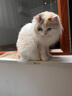 朗诺 RANOVA 猫零食冻干棒棒糖3支装（麦苗/南瓜/蔓越莓） 实拍图