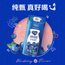 蒙牛（MENGNIU）纯甄蓝莓果粒风味酸奶200g×10盒 礼盒装 （部分地区3月产） 实拍图