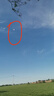 爸爸妈妈风筝成人儿童潍坊大型特大沙燕风筝轮盘线轮高档亲子户外玩具 实拍图