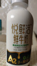 伊利金典3.8g乳蛋白 鲜活纯牛奶整箱 250ml*8瓶 30天常温短保 礼盒装 实拍图
