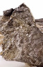 麦富迪 狗狗零食 鳕鱼皮200g成幼犬磨牙棒训练奖励解馋宠物零食 实拍图