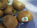 佳沛（zespri）绿奇异果10个装 宝宝果单果约77-89g 水果猕猴桃包邮 实拍图
